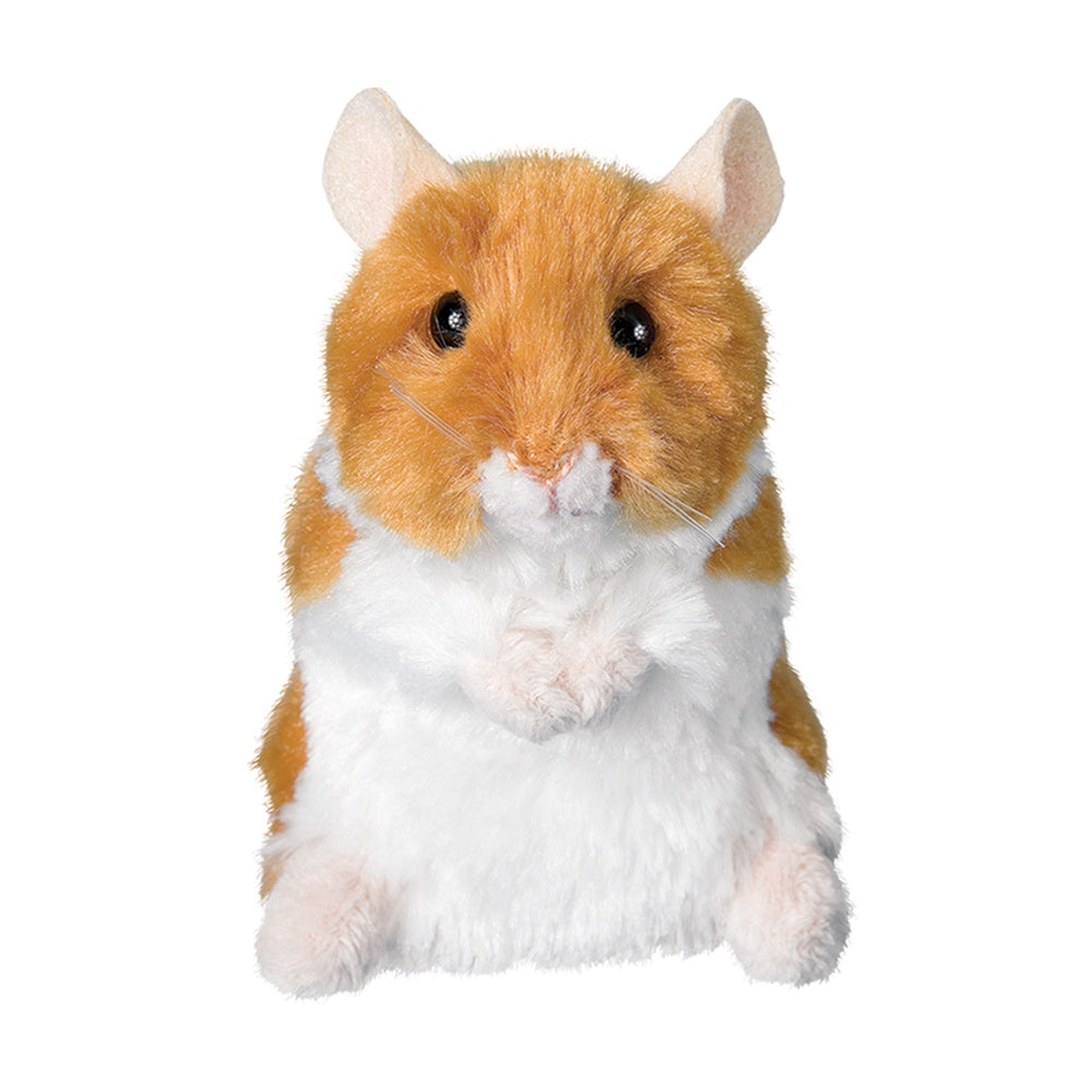 http://Brushy%20Hamster
