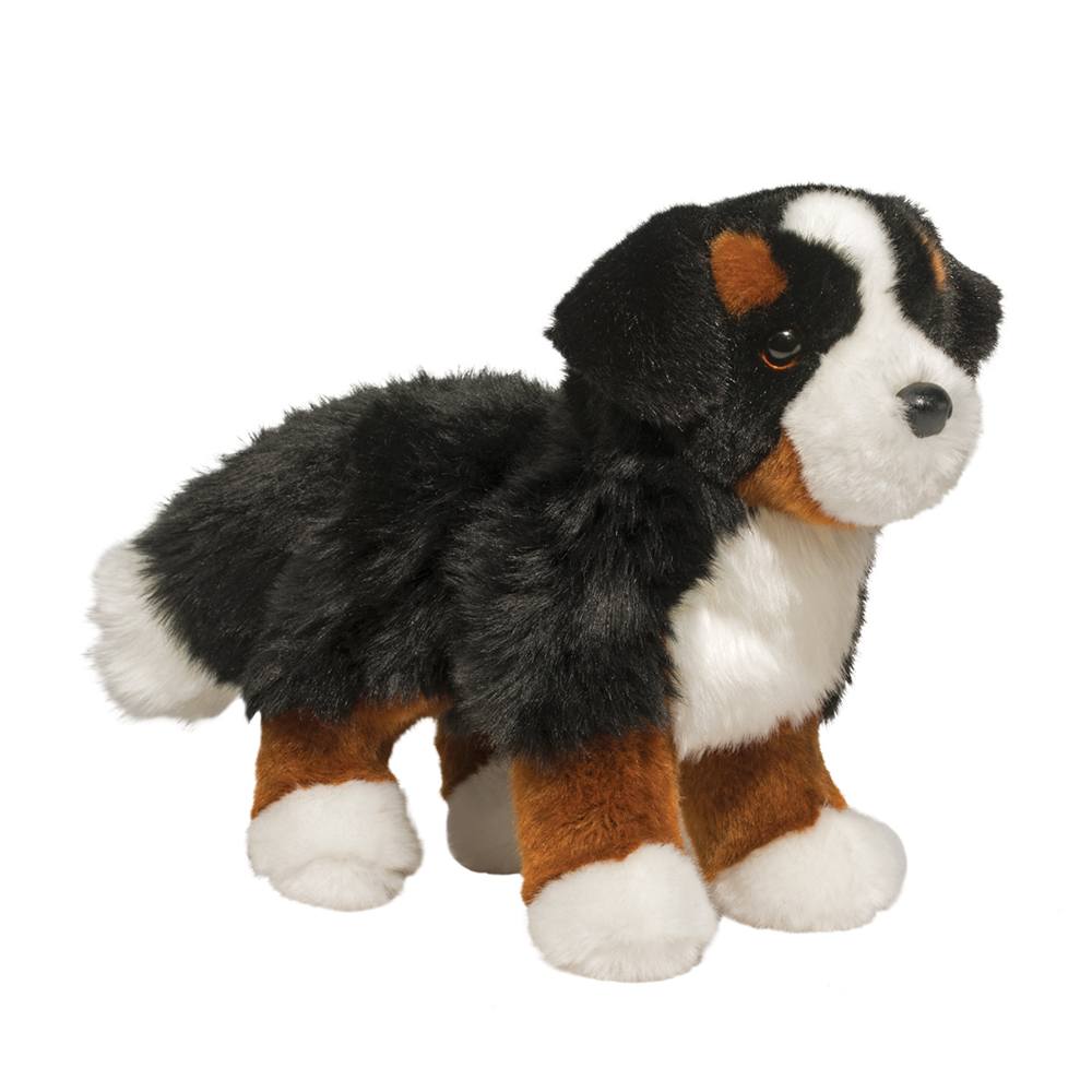 http://Stevie%20the%20Bernese%20Mountain%20Dog