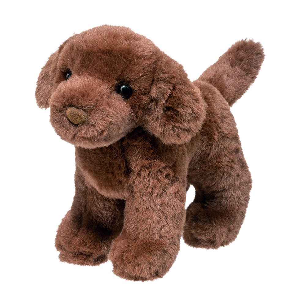 http://Sylvia%20Chocolate%20Lab