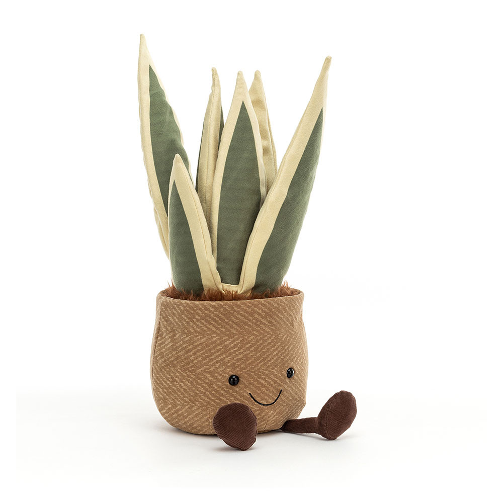http://Amuseables%20Snake%20Plant