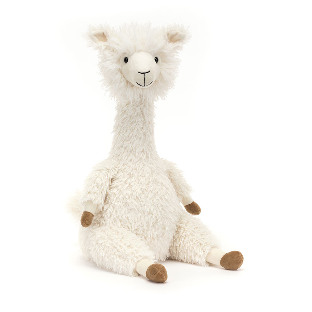 http://Alonso%20Alpaca