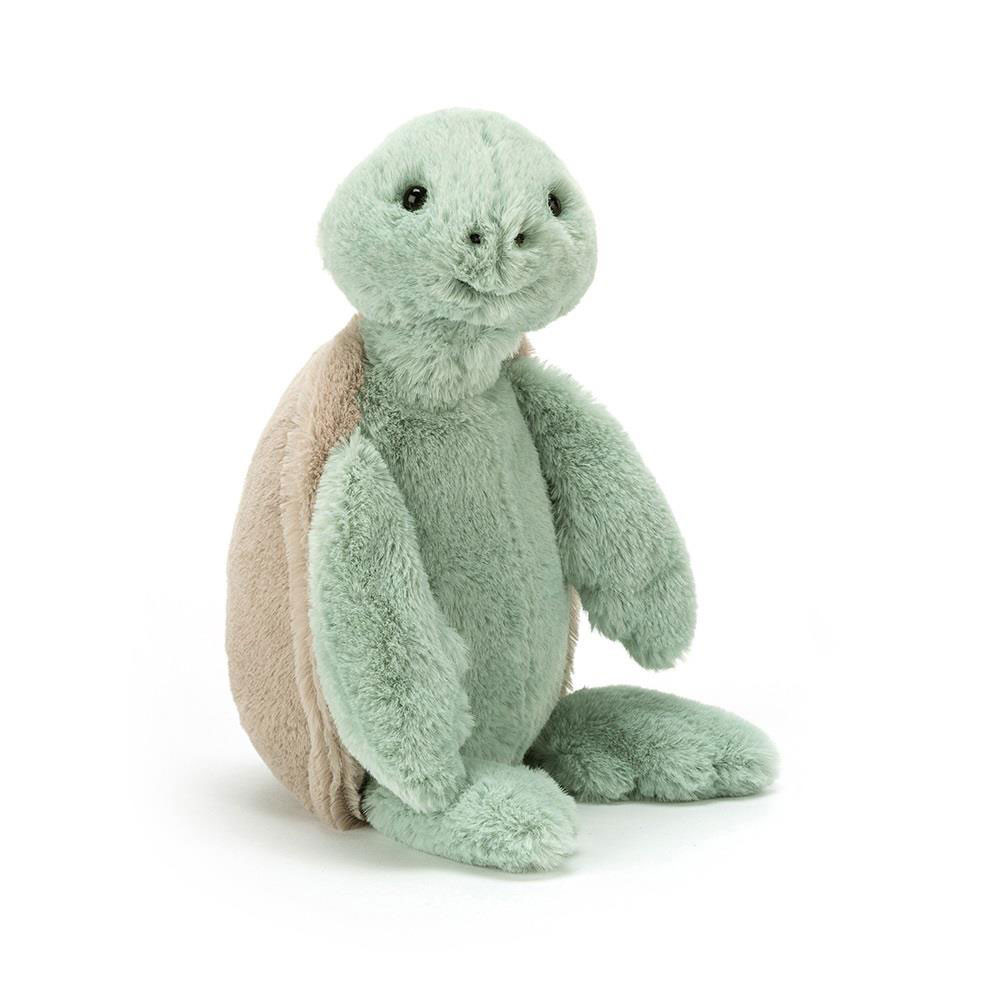 http://Bashful%20Turtle