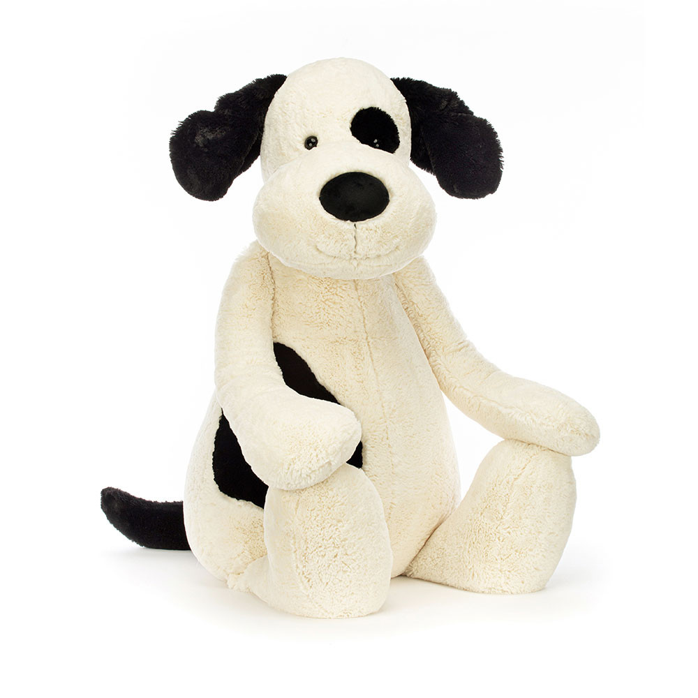 http://Bashful%20Black%20&%20Cream%20Puppy