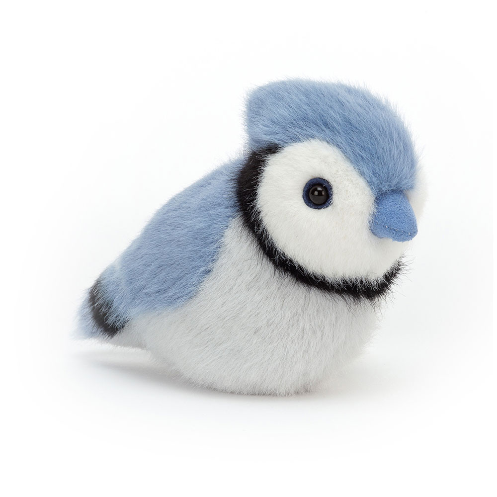 http://Birdling%20Blue%20Jay