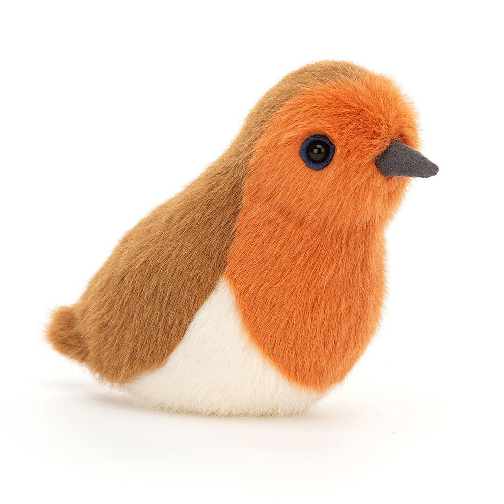 http://Birdling%20Robin