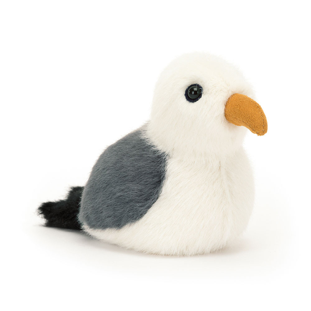 http://Birdling%20Seagull