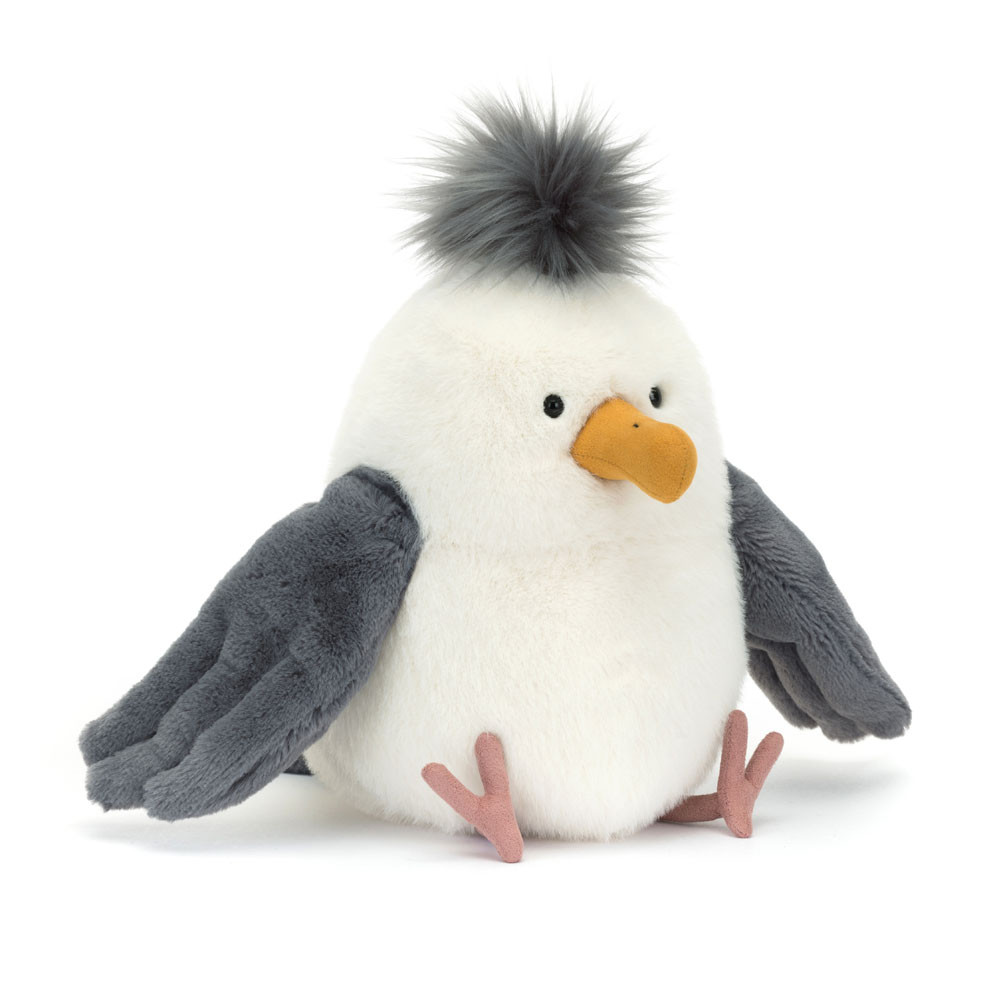 http://Chip%20Seagull