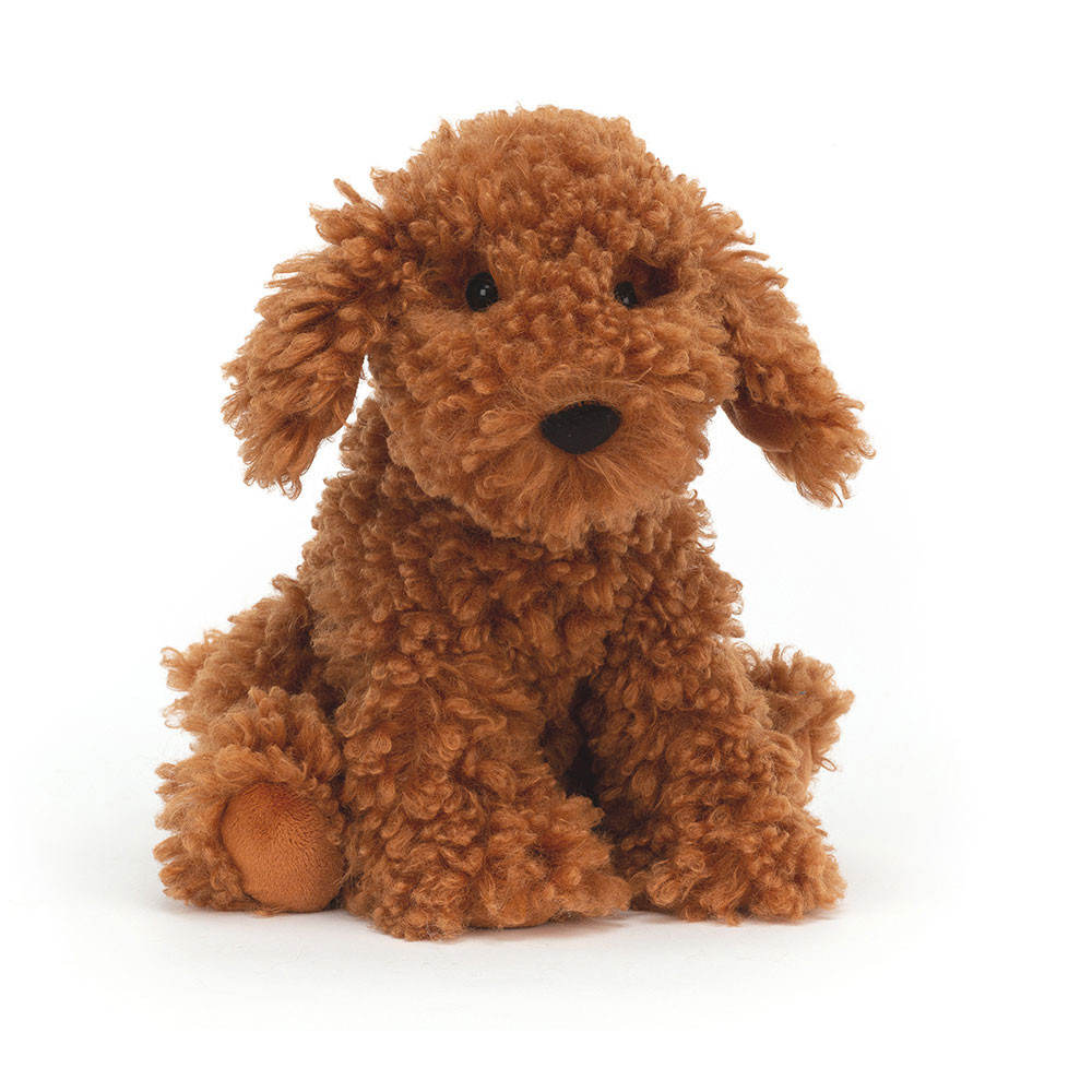 http://Cooper%20Doodle%20Dog