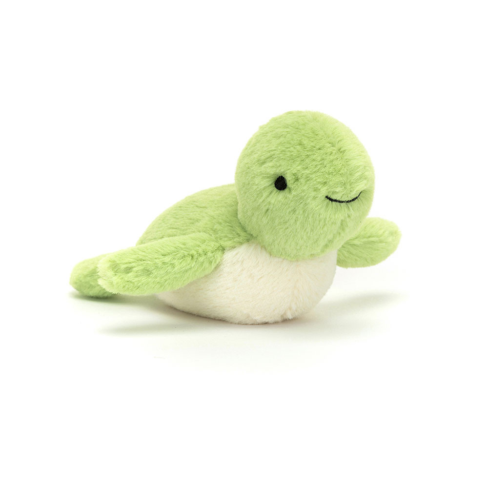 http://Fluffy%20Turtle
