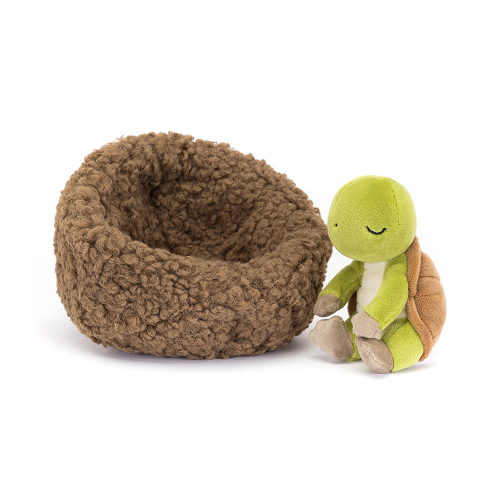 http://Hibernating%20Tortoise