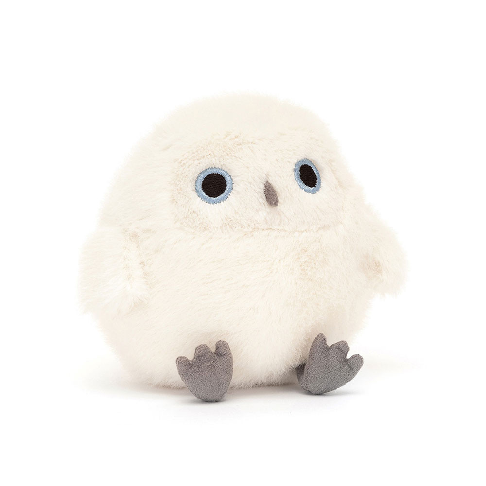 http://Snowy%20Owling