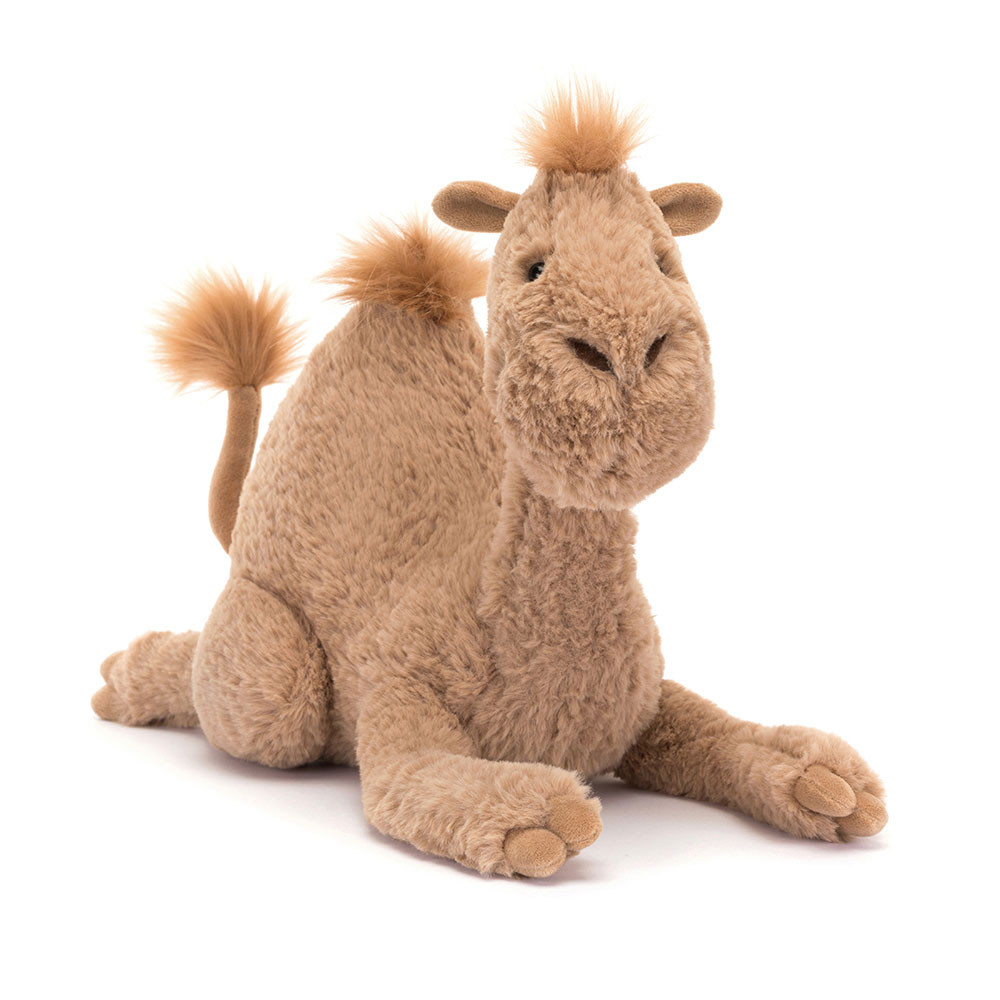 http://Richie%20Dromedary