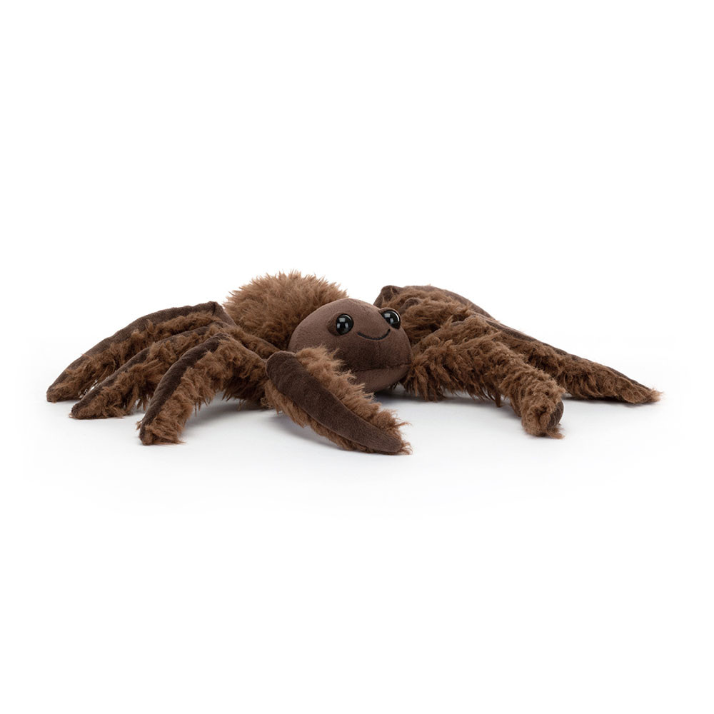 http://Spindleshanks%20Spider