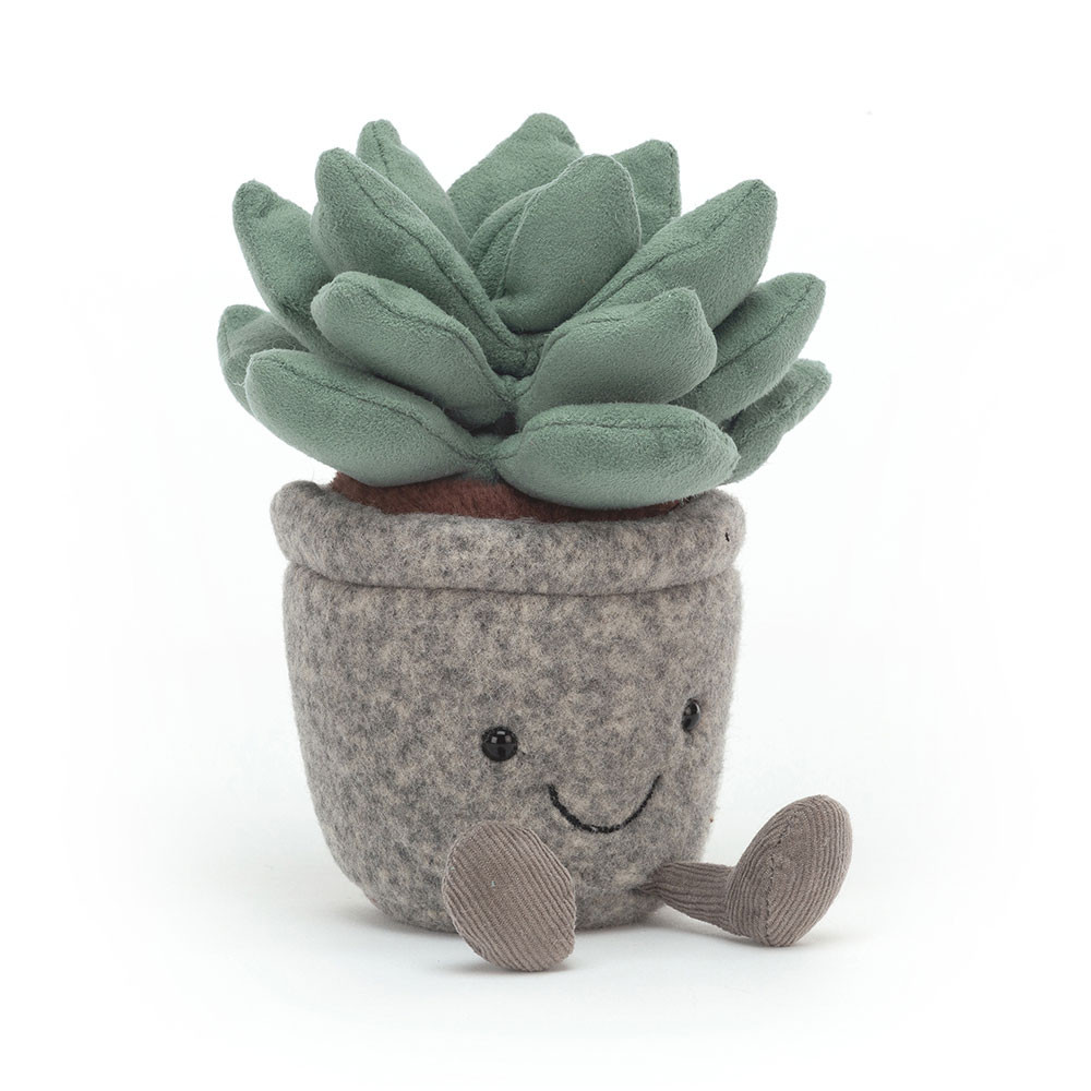 http://Silly%20Succulent%20Azulita