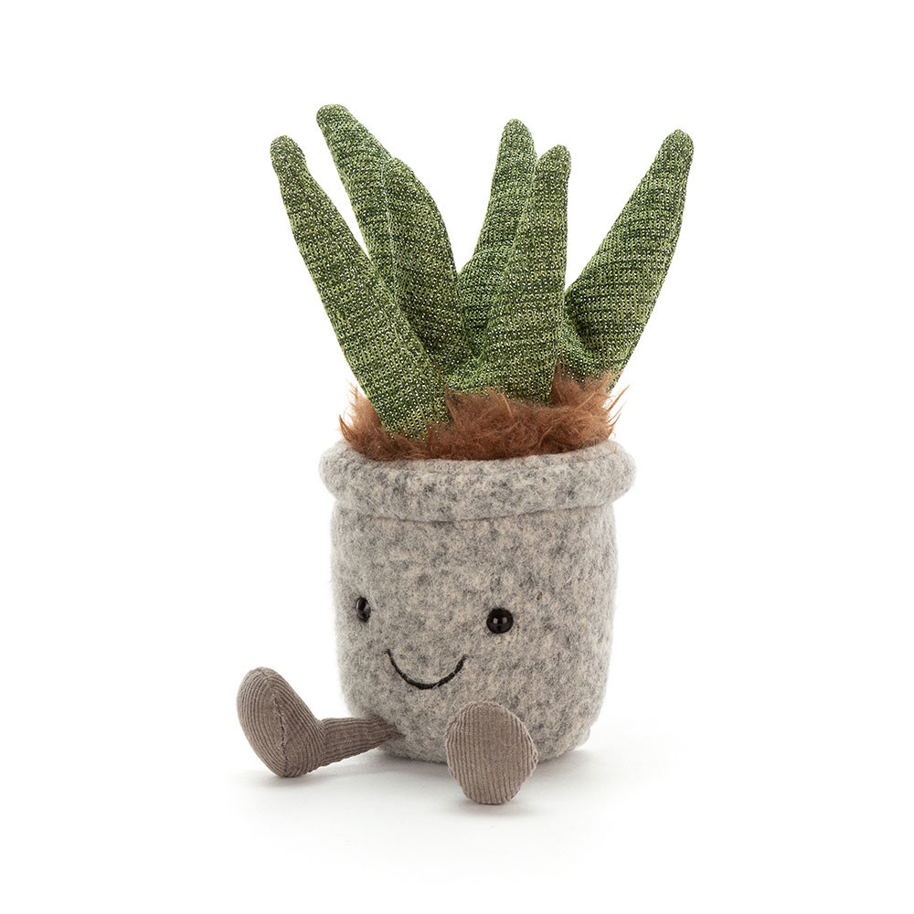 http://Silly%20Succulent%20Aloe