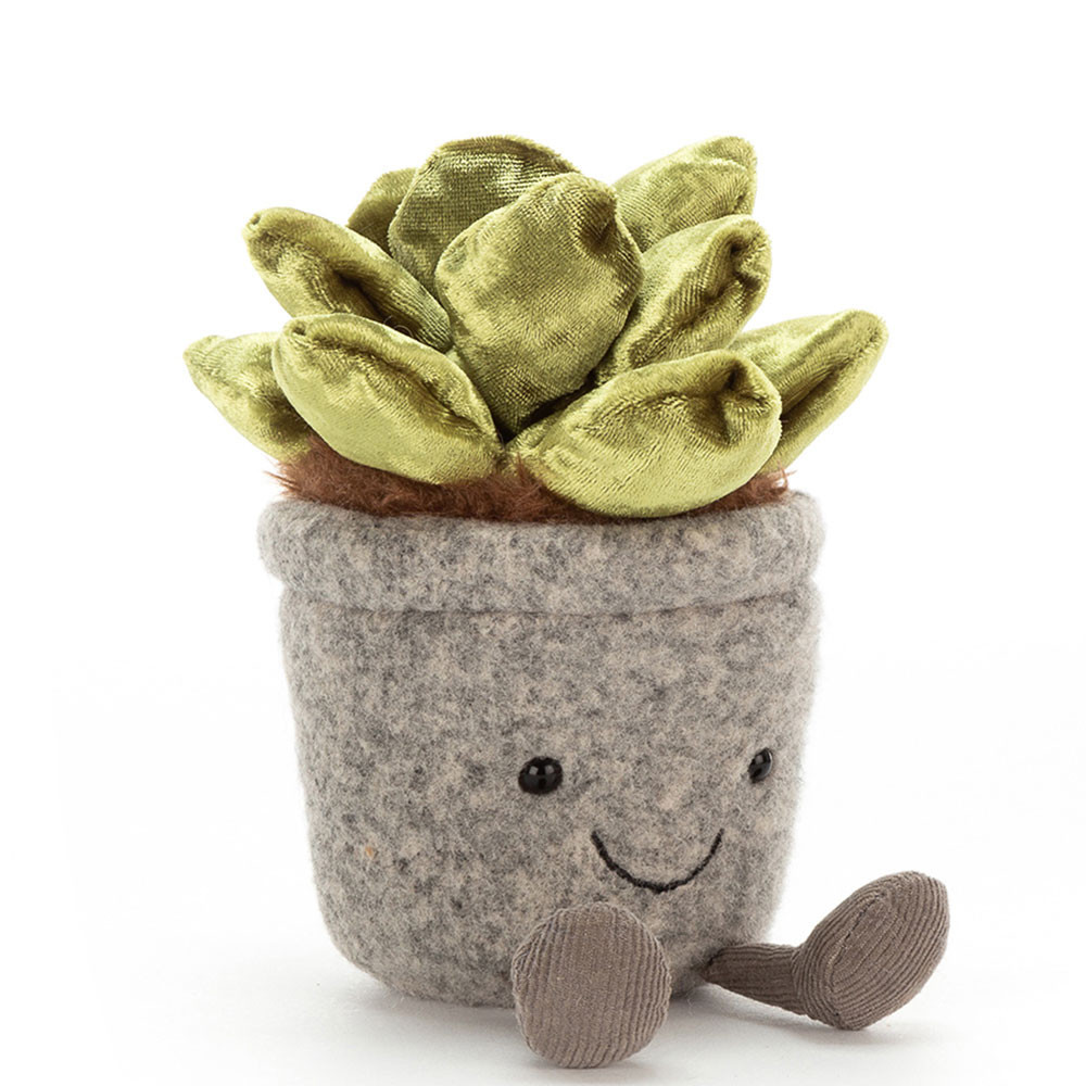 http://Silly%20Succulent%20Jade