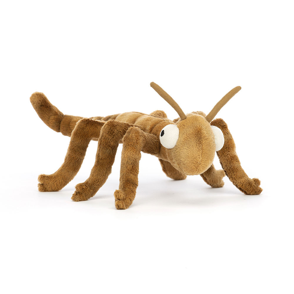 http://Stanley%20Stick%20Insect