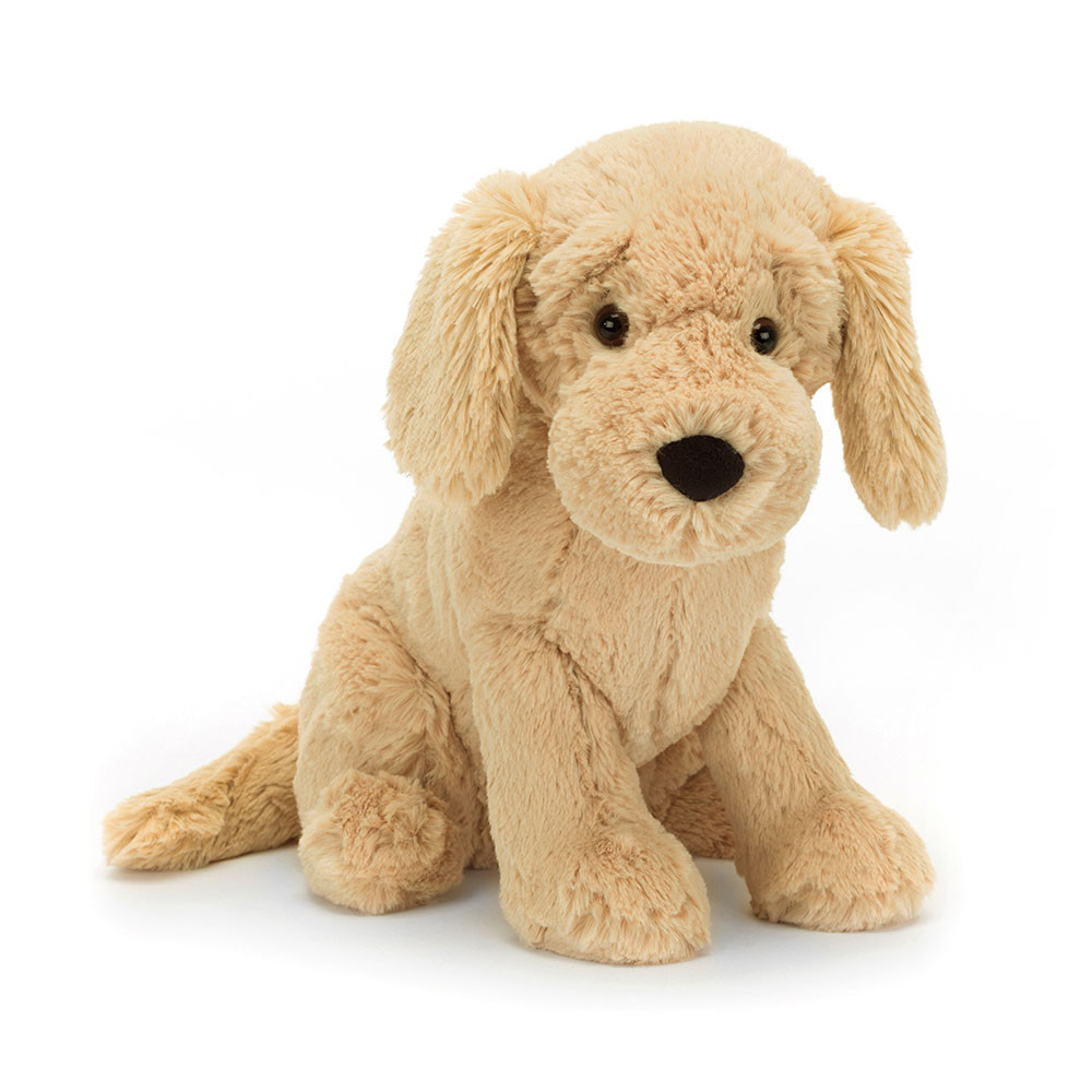 http://Tilly%20Golden%20Retriever