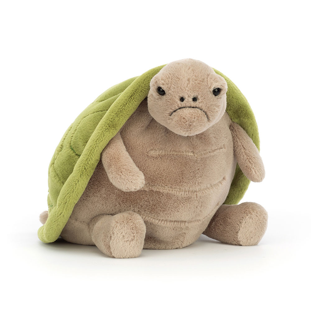 http://Timmy%20Turtle