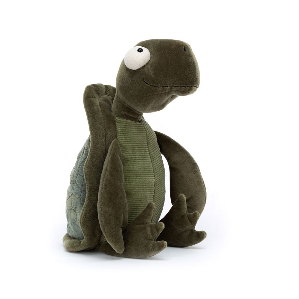 http://Tommy%20Turtle