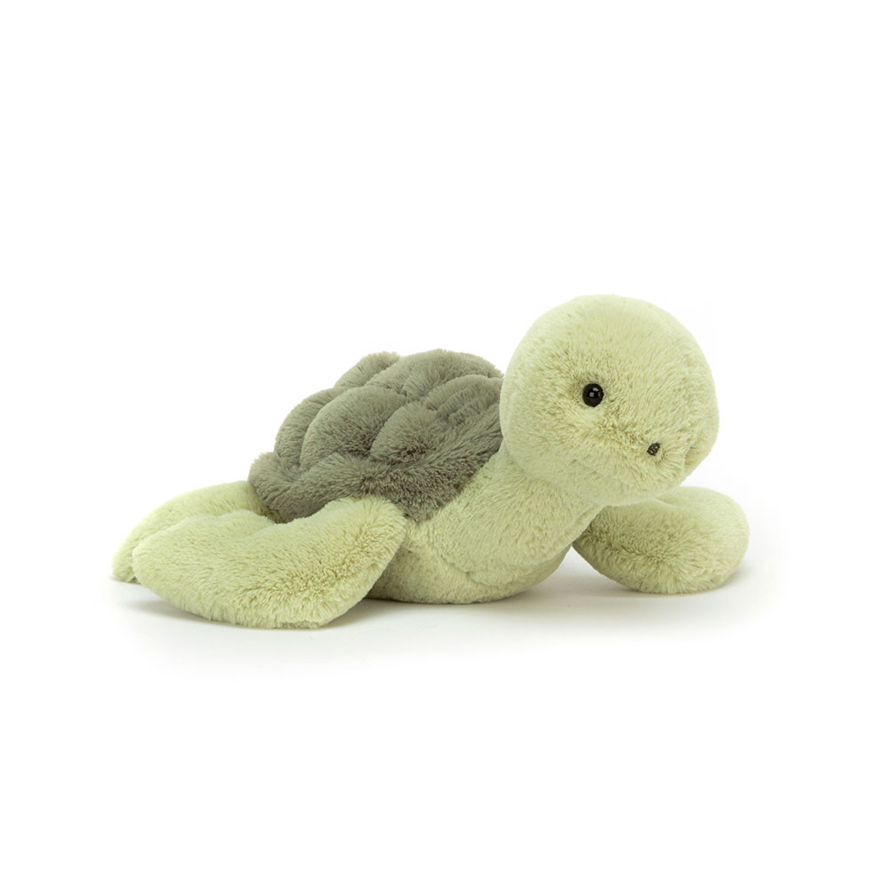 http://Tully%20Turtle