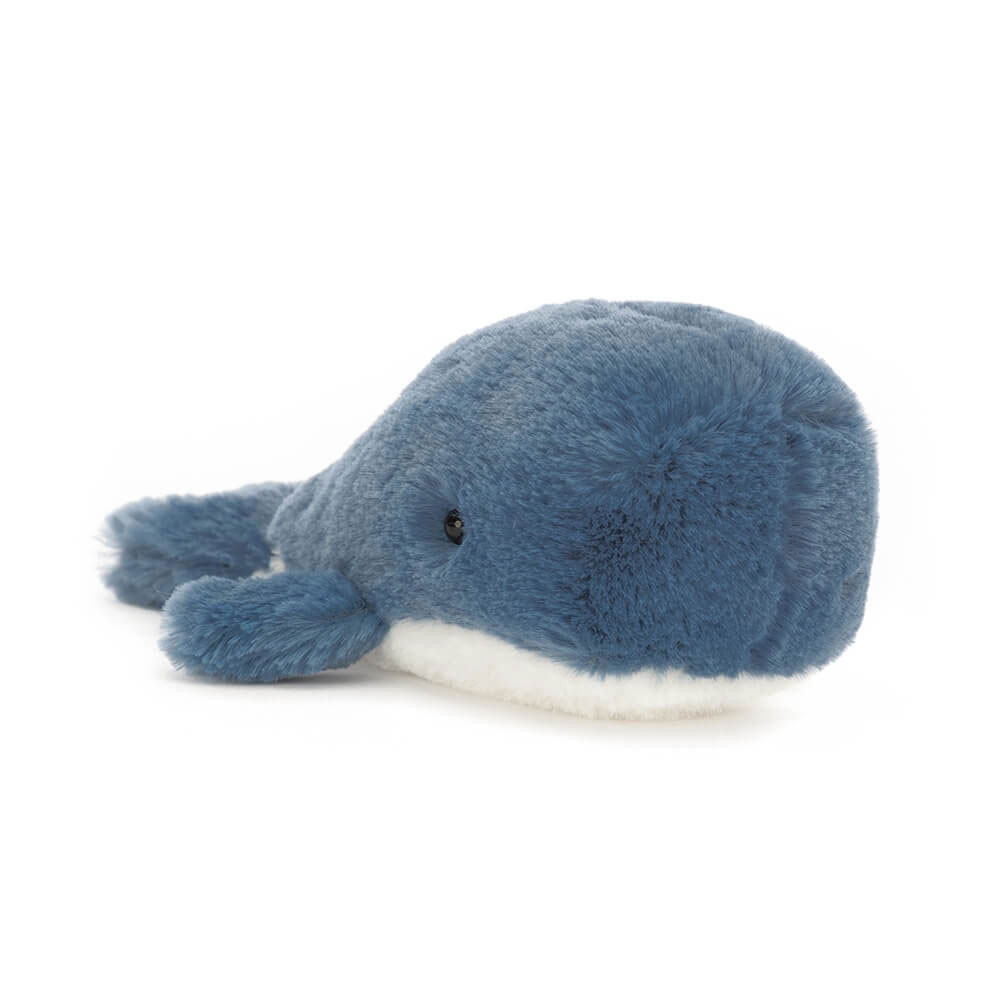 http://Wavelly%20Whale