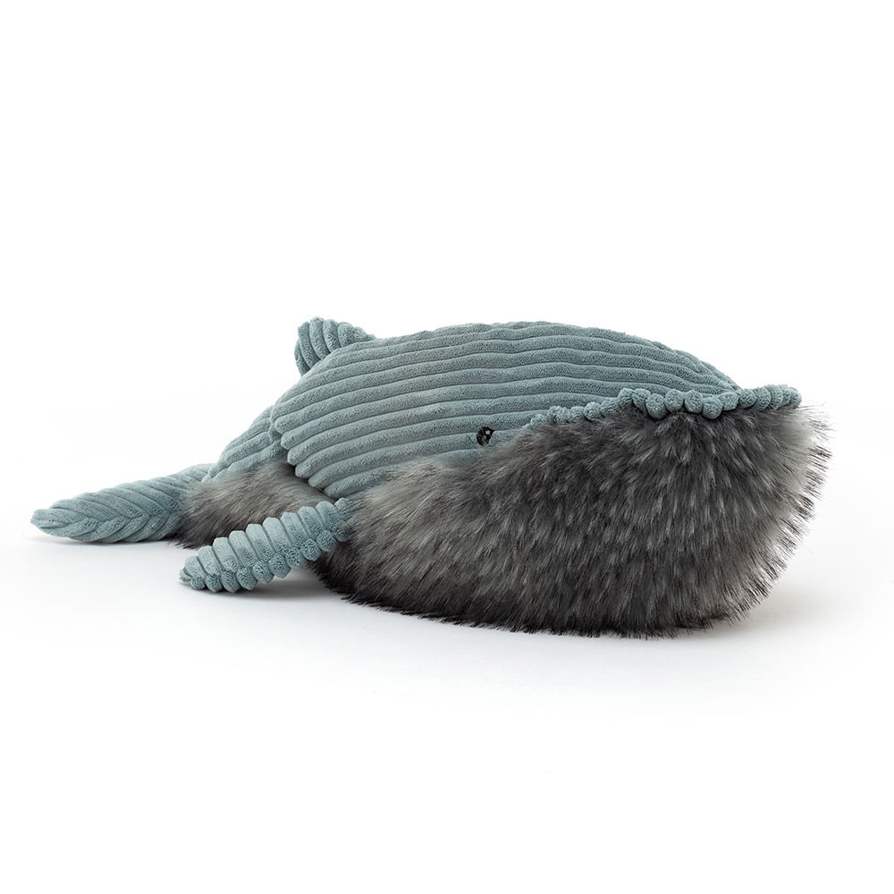 http://Wiley%20Whale