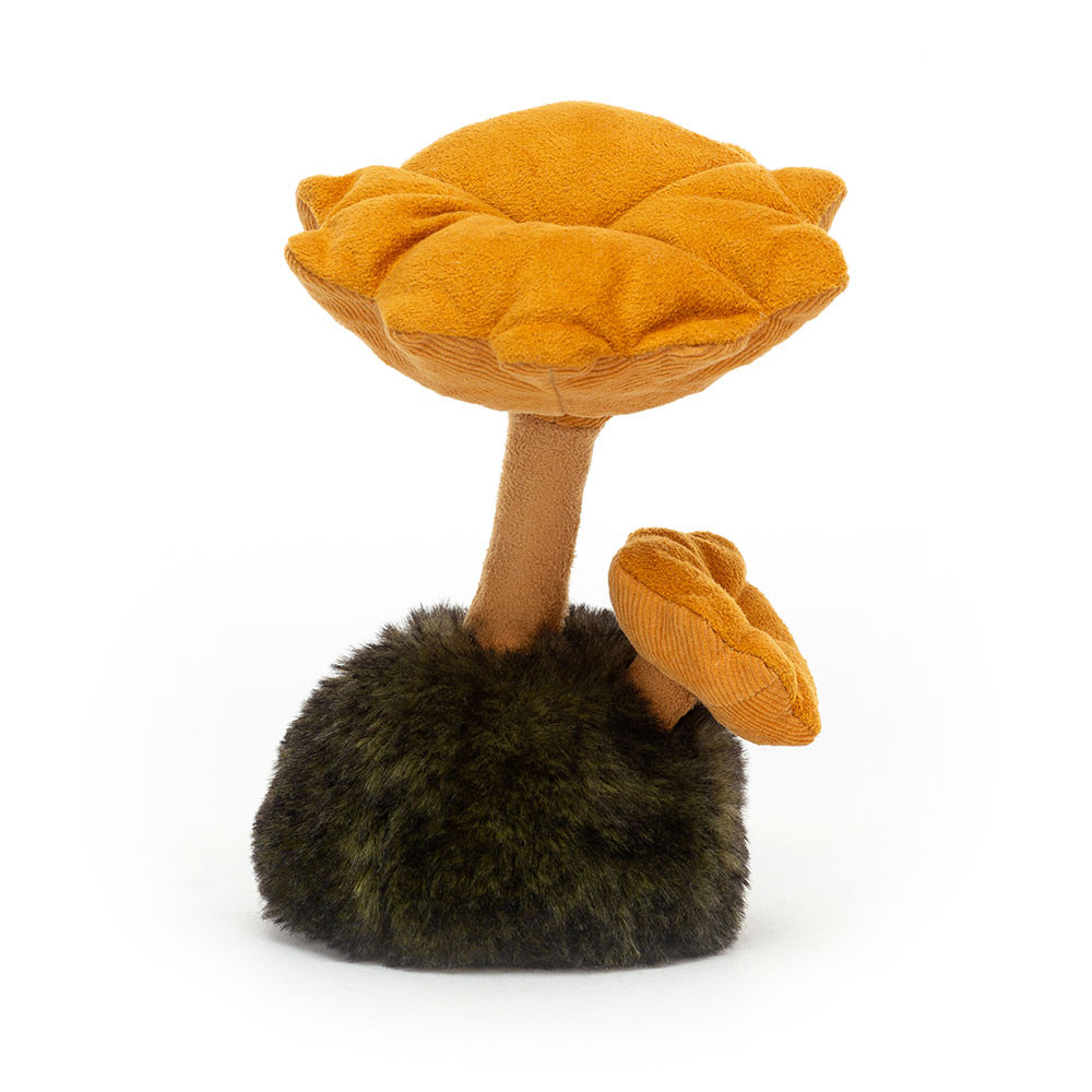 http://Wild%20Nature%20Chanterelle%20Mushroom