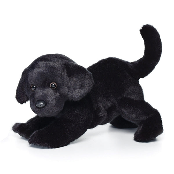 http://Chester%20Black%20Lab